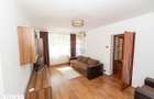 Apartament semidecomandat cu 3 camere de inchiriat Vasile Goldis Minis - 10
