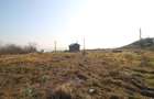 Vand 1600 mp DN 26 - 17000euro !!! - 3