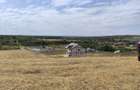 Parcele 505 mp- Le?ile,Simnicu de Sus, Lesile - 1