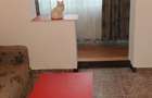 Apartament 2 camere Buftea Studio - 8