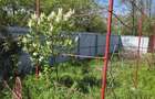 Teren agricol intravilan de 2050 mp, în Valea Măcrișului - 14