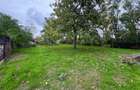 Vand teren Bolintin Deal - 3