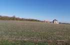 Vanzare 2000 mp, sau 3000 mp sau 5000 mp teren in Gradistea cu acces dinspre A3 - 8