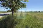 Teren intravilan 50000 mp, cu PUZ, Aprobat - zona Halchiu... - 16