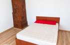 Casa batraneasca partial renovata + teren 723 mp - Babadag, Tulcea