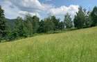Teren vanzare INTRAVILAN, 7800 mp, Poiana Ampoiului, ZONA TURISTICA