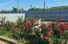 Casă cu 8 camere cu Teren 180000 Mp în Pietroiu - 6