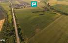 Teren Extravilan De 42.200 Mp Secusigiu
