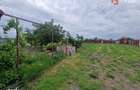 Casa individuala de vanzare cu 5 camere si teren de 2543 mp - Izvin - 6