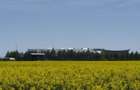 Teren vecinatate Therme,34500 euro - 5