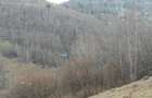 Vanzare teren intravilan - Valea ierii 15.000mp - 6