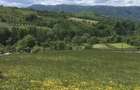 Teren de 879 mp, în Armeniș - 4