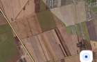 Teren extravilan agricol, Constan?a, Vecinatate Cartier Tom Veterani - 5
