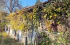 Casa de vanzare intr-o zona DEOSEBITA (Ideal Off-Grid, Remote, Izolat) - 2