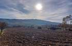 Surduc, teren curti si gradina, 4.316 mp in localitatea Fardea - 2