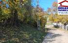 3600 mp teren intravilan, sat Bistrita, 12 Euro/mp - 3