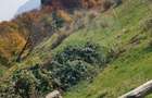 Teren ideal pentru glamping in Vladeni, aproape de Bra?ov - 6