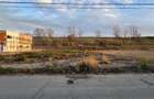 Teren Industrial 1500 mp Calea Borsului - 2