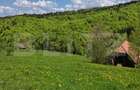 Teren intravilan 3400 mp, in Balaban - Simon, Bran - Brasov - 2