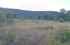 Teren extravilan (front intravilan) 3016 mp | Sebi?, jud. Arad - 3
