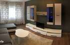Apartament de inchiriat 2 camere Banu Manta Victoriei Titulescu - 5