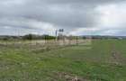 Teren extravilan | Horodnic de Sus zona Osoi | 50 de Ari - 4