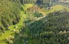 Teren 38,704mp Sirnea | 2.000 mp Intravilan | 36,704 Extravilan - 7