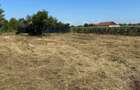 Teren intravilan 610 mp + cota drum | Ciofliceni - Snagov | Toate utilitatile la 100 m - 16