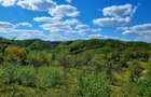 Teren de 70000 mp, în Șerani - 6