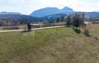 Teren Intravilan 3.791 mp | Priveli?te Panoramica Superba | Poiana Mar - 2