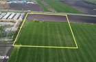 Teren 4Ha la Dn17 deschidere 200m - 6