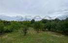 RECO Casa cu teren in Hidiselul de Sus - 7