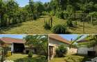 Casa de 3 camere, Axente Sever - 2