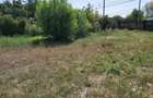 ***PROPRIETAR*Teren Intravilan 1875 mp*Deschidere 15 ml DN1*Tatarani*Com. Barcanesti*** - 7