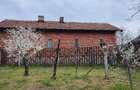 Casă cu Teren 5000 Mp în Central - 2