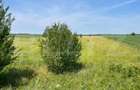 Teren extravilan, 4.994 mp, Targoviste - 2