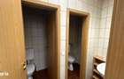 Spatiu birouri 250mp Calea Dumbravii - 3