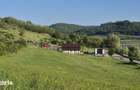 teren pe malul lacului in jud bacau - 3