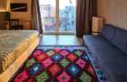 Studio decomandat ultracentral, vedere superbă spre Piața Steagului Cercul Milit - 5