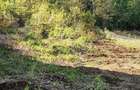 Teren intravilan 1000 mp-ideal casă de locuit, investitie-Zona Centura - 2