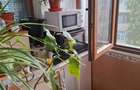 Apartament 2 camere decomandat | 49 mp | Etaj 3 | Centrala | Bloc anvelopat | Zona Industriala Tecuci - 7