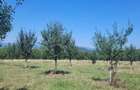 Proprietar vand 2 hectare teren extravilan - 3