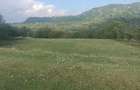Vand teren extravilan Domne?ti, Arges 3,5 E mp - 3