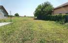 Teren 1000 m2 intravilan Odaia Manolache - 2