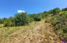 Teren Intravilan 546 mp | Panorama deosebita | PUZ in lucru - 10