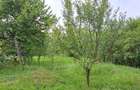 CASA DE VANZARE LA 2 km de Jibou sat Rona - 1