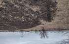 Teren 2,5 ha Giurgiu - 4