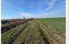 Teren extravilan arabil-Com.Madaras, Jud. Bihor