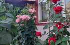 Casa de vanzare Iohanisfeld - 7