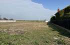 Agentia imobiliara VIGAFON vinde teren intravilan Negoiesti - 2
